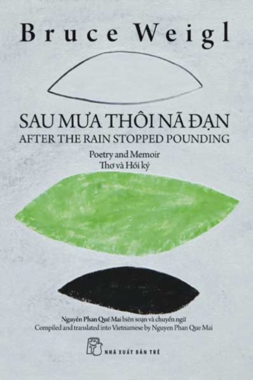 Book: After the Pounding Rain
